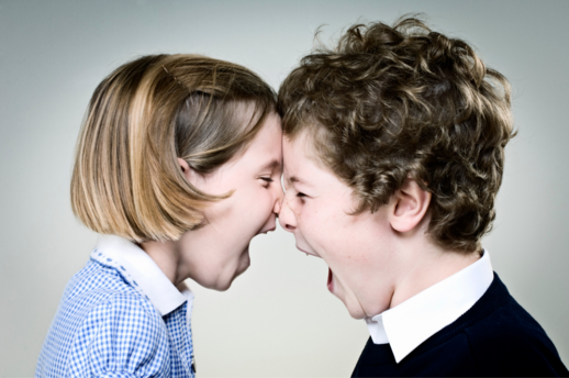two children screaming at each other for post on sibling conflict